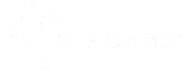 Podiatrist in the El Paso County, TX: El Paso, Socorro, Horizon City, Clint, San Elizario, Doña Ana County, NM: Sunland Park, Santa Teresa, Anthony, Hudspeth County, TX: Fort Hancock areas